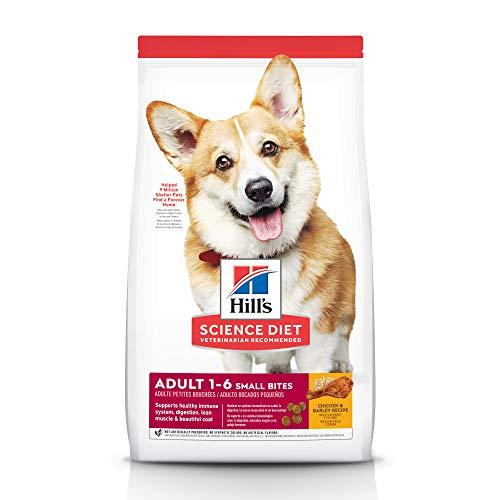 Hill's Science Diet Canine Active Longevity Dry Dog ...