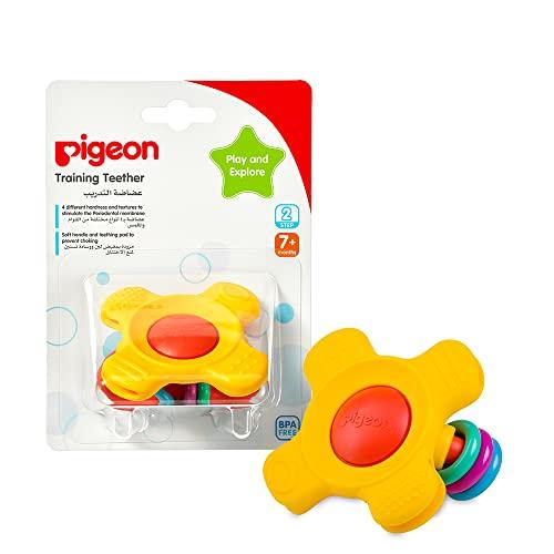 Pigeon Training Teether Step 2