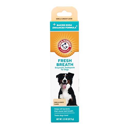 Arm & Hammer Dog Dental Care Fresh Breath Enzymatic ...