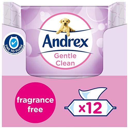 Andrex Washlets Gentle Clean Flushable Toilet Wipes