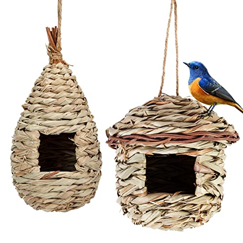 Hywean Bird House