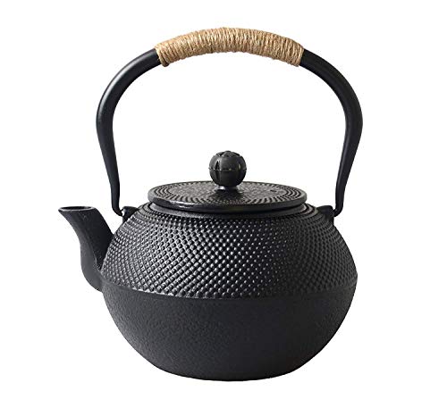 Sharemee Japanese Teapot