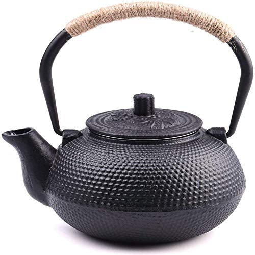 SUSTEAS Japanese Teapot