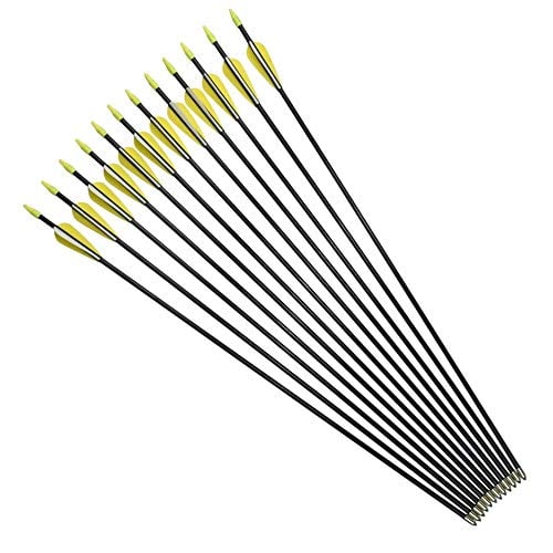 YLA Archery Arrows