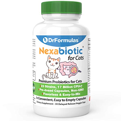 DrFormulas Nexabiotic Probiotics for Cats Powder | T...