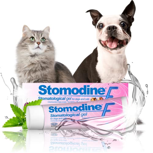 ICF | Stomodine F | Cat & Dog Toothpaste | Meat Flav...