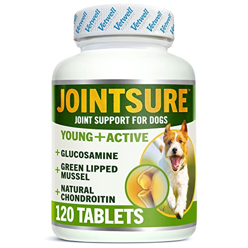 JOINTSURE YOUNG & ACTIVE Joint Sup...