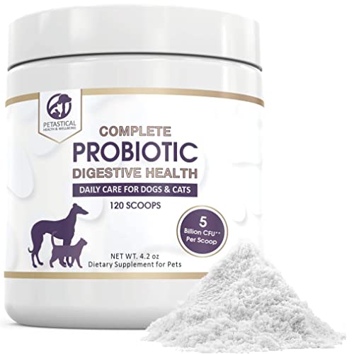 Petastical Probiotics for Dogs and Cats, 5 BILLION C...