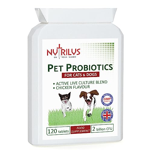 Probiotics For Dogs & Cats –...