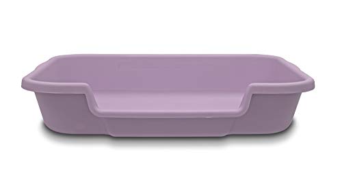 Bunny Go Here Rabbit Litter Box by Kit&...