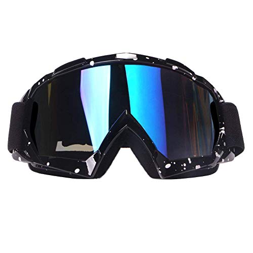 4-FQ Ski Goggles