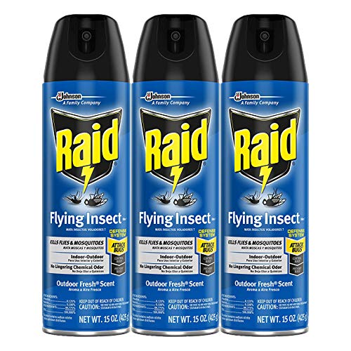 Raid Flying Insect Killer