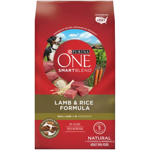 Purina ONE Dog Food