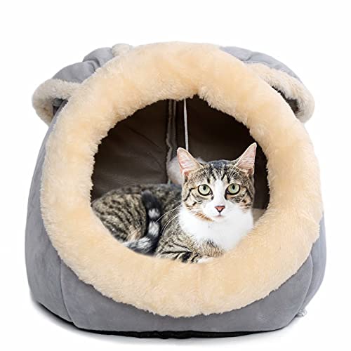 Garlifden Bed for Cats