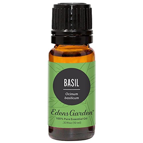 Edens Garden Basil Essential Oil