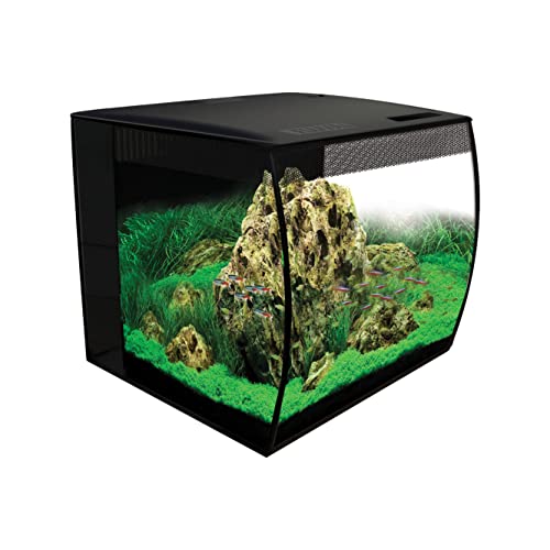 Fluval Aquarium