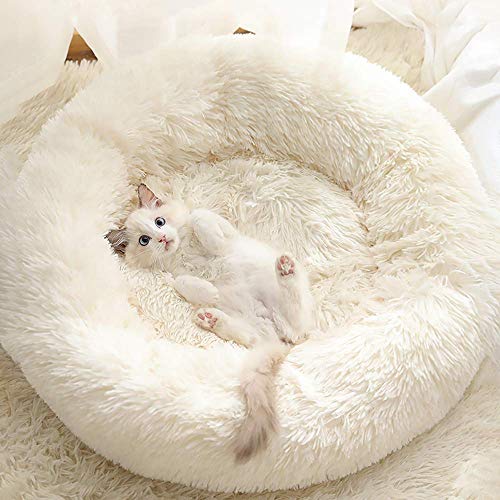 Gavenia Bed for Cats