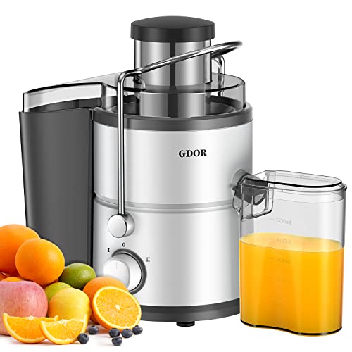 GDOR Fruit Juicer