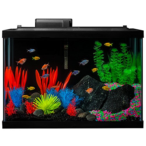 GloFish Aquarium