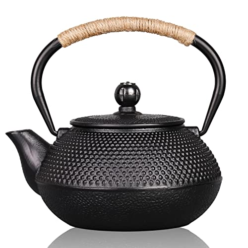 PARACITY Japanese Teapots