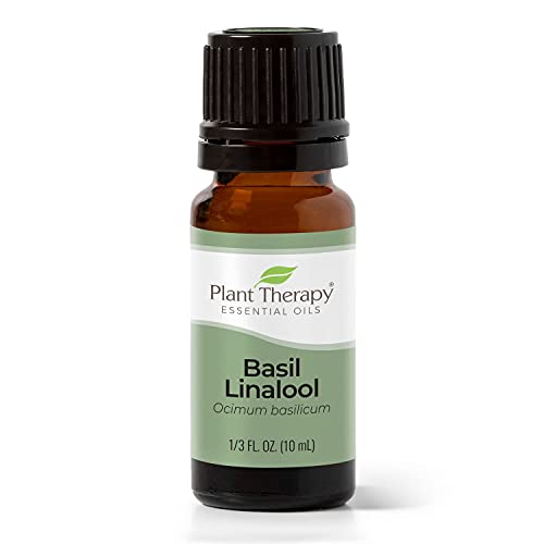 Plant Therapy Basil Essential Oil