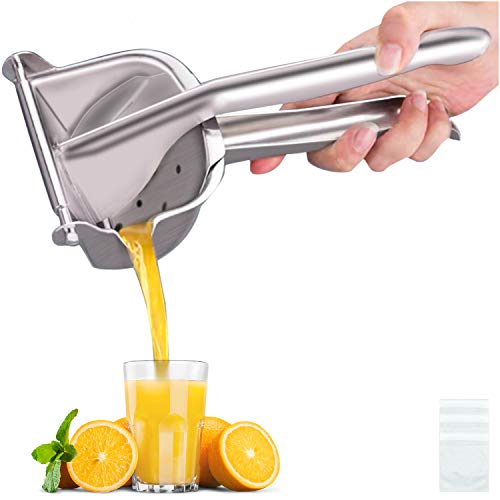 AUAM Fruit Juicer