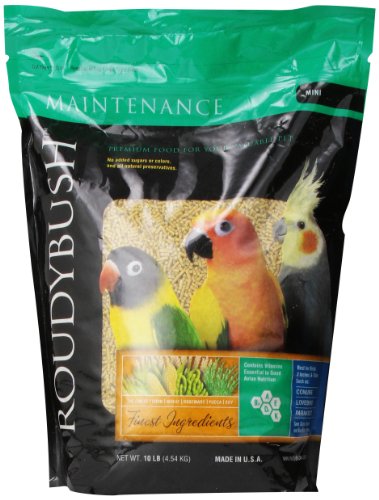 RoudyBush Bird Food