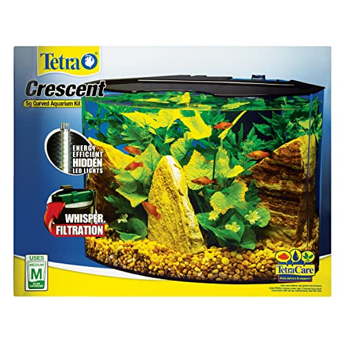 Tetra Aquarium