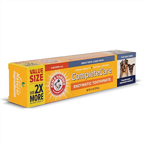 Arm & Hammer Enzymatic Dog Toothpaste