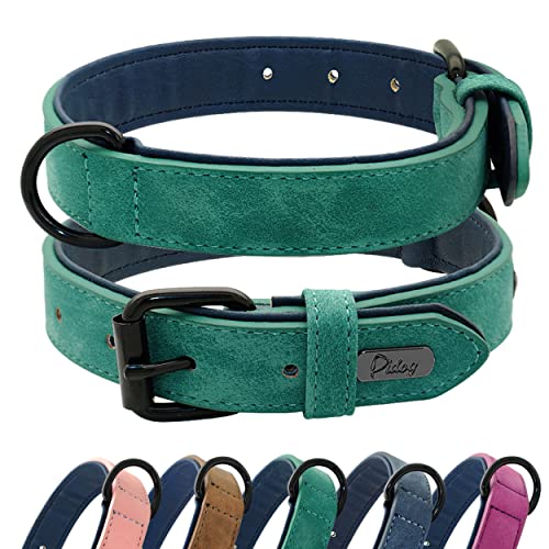 Didog Soft Padded Leather Dog Collar