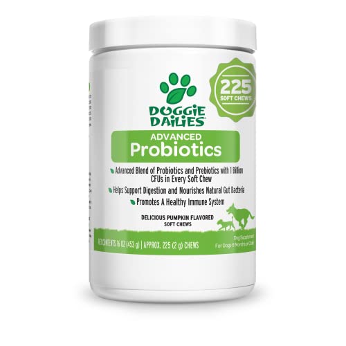 Doggie Dailies Probiotics for Dogs