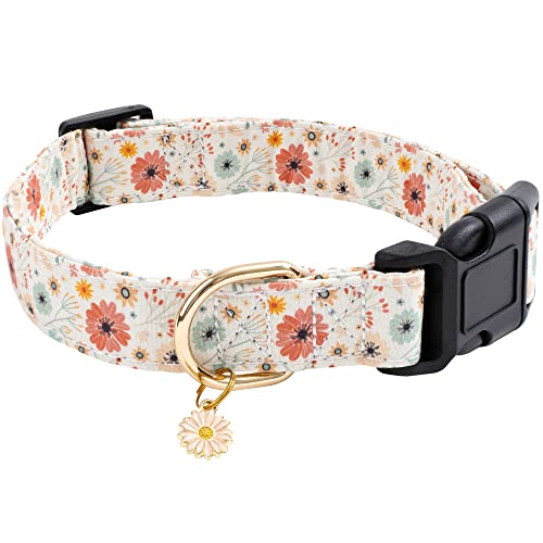 Faygarsle Cotton Designer Dogs Collar