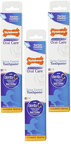 Nylabone Tartar Control Dog Toothpaste