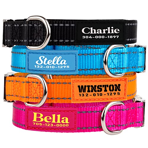 PAWBLEFY Personalized Dog Collars