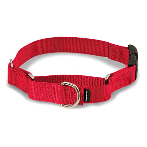 PetSafe Martingale Dog Collar