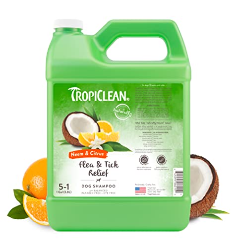 TropiClean Citrus & Neem Oil Flea Shampoo for Dogs