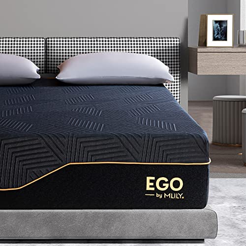 EGOHOME Mattress For Back Pain