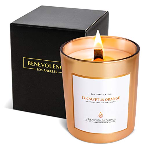 Benevolence LA Eucalyptus & Orange Wood Wick Candles