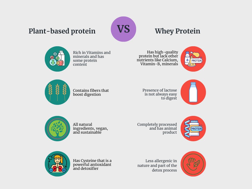 10 Best Whey Protein in Canada - 2023 | Full Review & Guide