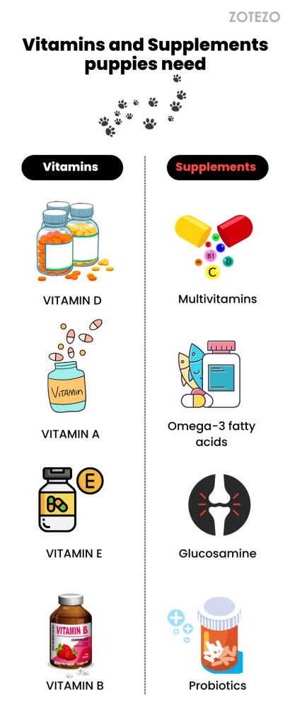 vitamins and supplements puppies need