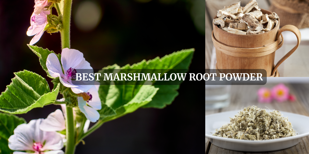 Best marshmallow root powder2024 Complete Review & Guide