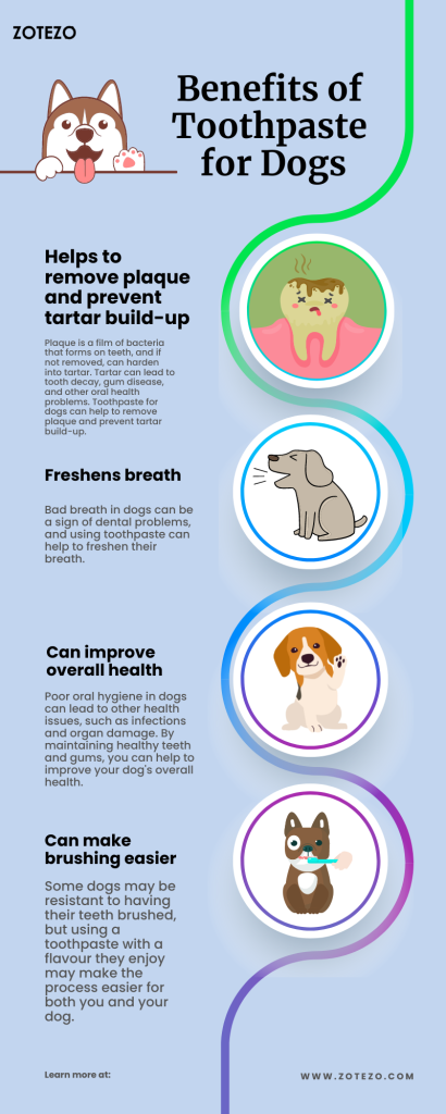 Benefits of Toothpaste for Dogs