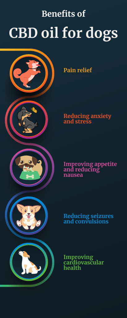 benefits of cbd oil for dogs